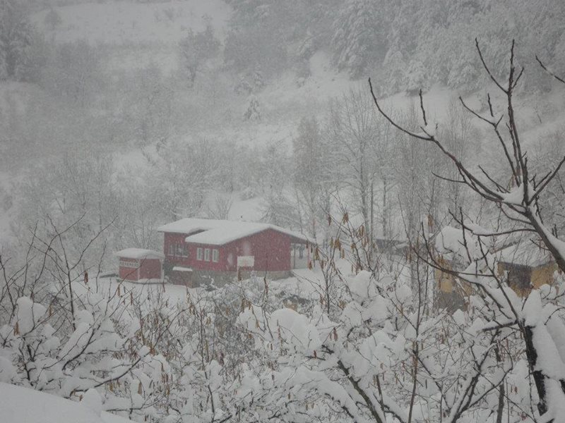 Zonguldak